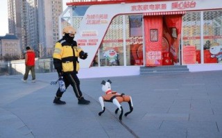 免费泡脚、机器人陪下棋  京东家电家居暖心站台为大连献上科技与温情