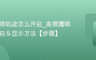 高德鹰眼轨迹怎么开启_高德鹰眼轨迹开启与显示方法【步骤】