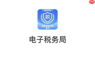 电子税务局网页版入口 增值税发票综合服务平台