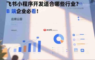 飞书小程序开发适合哪些行业,B端企业必看!