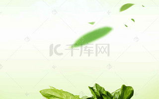 《在姨母家的客厅》中字解析-情感探索与成长故事