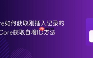 EF Core如何获取刚插入记录的ID EF Core获取自增ID方法