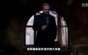 国产经典电影BGM大全，唤醒记忆的旋律-音乐与情感的交织