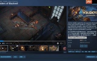 《Raiders of Blackveil》Steam首发褒贬不一 玩家：土豆服务器还敢强制联网？