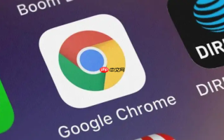 Google浏览器在线入口最新版 Google浏览器官方网站网页链接
