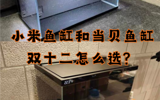 小米鱼缸VS当贝鱼缸：深度对比评测 谁才是真正的懒人神器