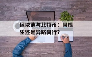 区块链与比特币：同根生还是异路同行？
