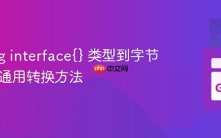 Golang interface{} 类型到字节数组的通用转换方法