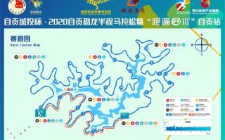 中国女足比赛直播,实时观战指南-赛事信息汇总