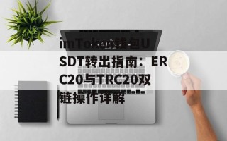 imToken钱包USDT转出指南：ERC20与TRC20双链操作详解