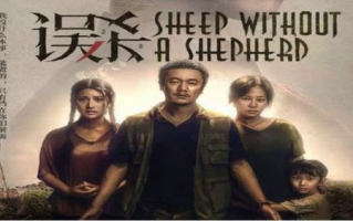 2019中文电影盛宴，在线观看精选佳作-观影指南解析