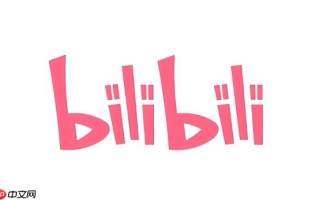 B站官网首页网址 哔哩哔哩网页版入口链接
