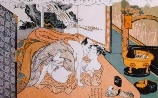 乌龙女大穿越,一场历史与现实的奇幻碰撞-现象解读与启示