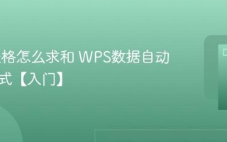 WPS表格怎么求和 WPS数据自动求和公式【入门】