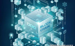 如何安全下载imToken开源代码？区块链开发者指南