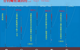 imToken真假官网鉴别指南：守护你的数字资产安全