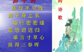 陆少的暖婚新妻-打造甜蜜婚姻生活的秘诀