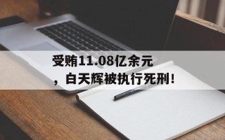 受贿11.08亿余元，白天辉被执行死刑！