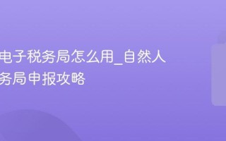 自然人电子税务局怎么用_自然人电子税务局申报攻略