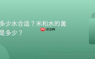 煮饭放多少水合适？米和水的黄金比例是多少？