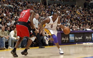 NBA比赛回放录像高清，极致观赛体验-获取与欣赏指南