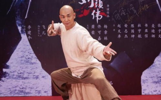 赵文卓电影，传统武术与现代动作的完美结合-艺术成就解析