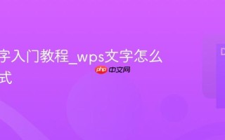 wps文字入门教程_wps文字怎么调整格式