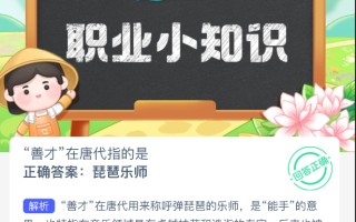 善才在唐代指的是