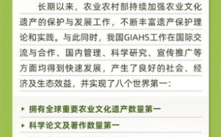 挑选好看图片的技巧与策略-提升内容视觉吸引力