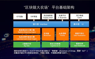 揭秘2025年：计算所区块链实验室的创新之路