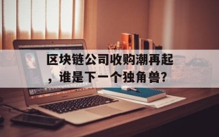 区块链公司收购潮再起，谁是下一个独角兽？