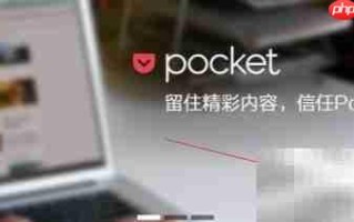 浏览器使用Pocket指南