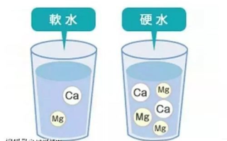 软水兔子h15动漫,深入解析其魅力与影响-动漫爱好者指南