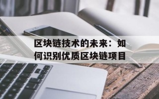 区块链技术的未来：如何识别优质区块链项目
