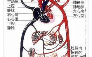 坐着轮流提双腿,改善血液循环-办公室健身新策略