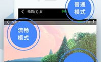 九播影院,高品质在线观影新选择-服务特色与用户体验优化