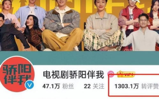 《云之羽》电视剧免费观看完整版方法解析