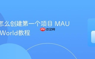MAUI怎么创建第一个项目 MAUI HelloWorld教程