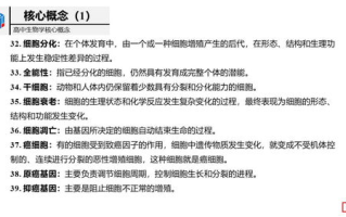 imToken私钥查看方法全攻略-用户实用技巧