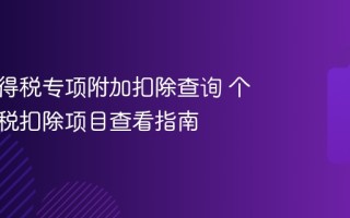 个人所得税专项附加扣除查询 个人所得税扣除项目查看指南