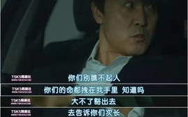 探寻类似《365》的剧集盛宴-高质量剧情推荐