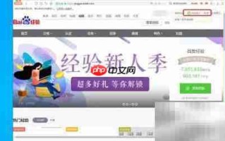 百度经验收入查询方法
