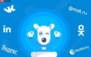 vk浏览器浏览器官网入口 vk浏览器官方入口无需验证