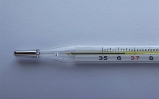 1支价格飙升至20元！水银温度计遭网友疯抢