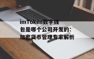 imToken数字钱包是哪个公司开发的：加密货币管理专家解析