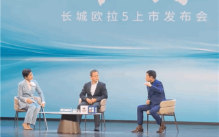 魏建军：隐藏式门把手风阻降了0.001但增重8公斤 后来我们就不用了