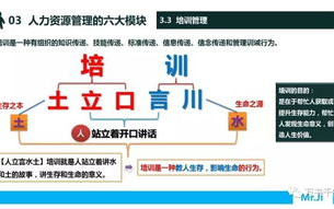 2022年NBA总决赛回放：重温精彩瞬间与观看指南