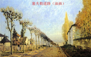 人猿泰山：原始森林的传奇英雄与他的现代启示