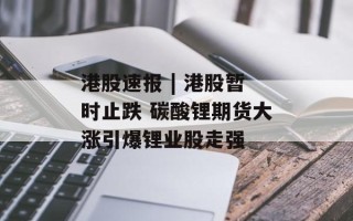 港股速报 | 港股暂时止跌 碳酸锂期货大涨引爆锂业股走强