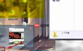 如何查看Flash Helper服务